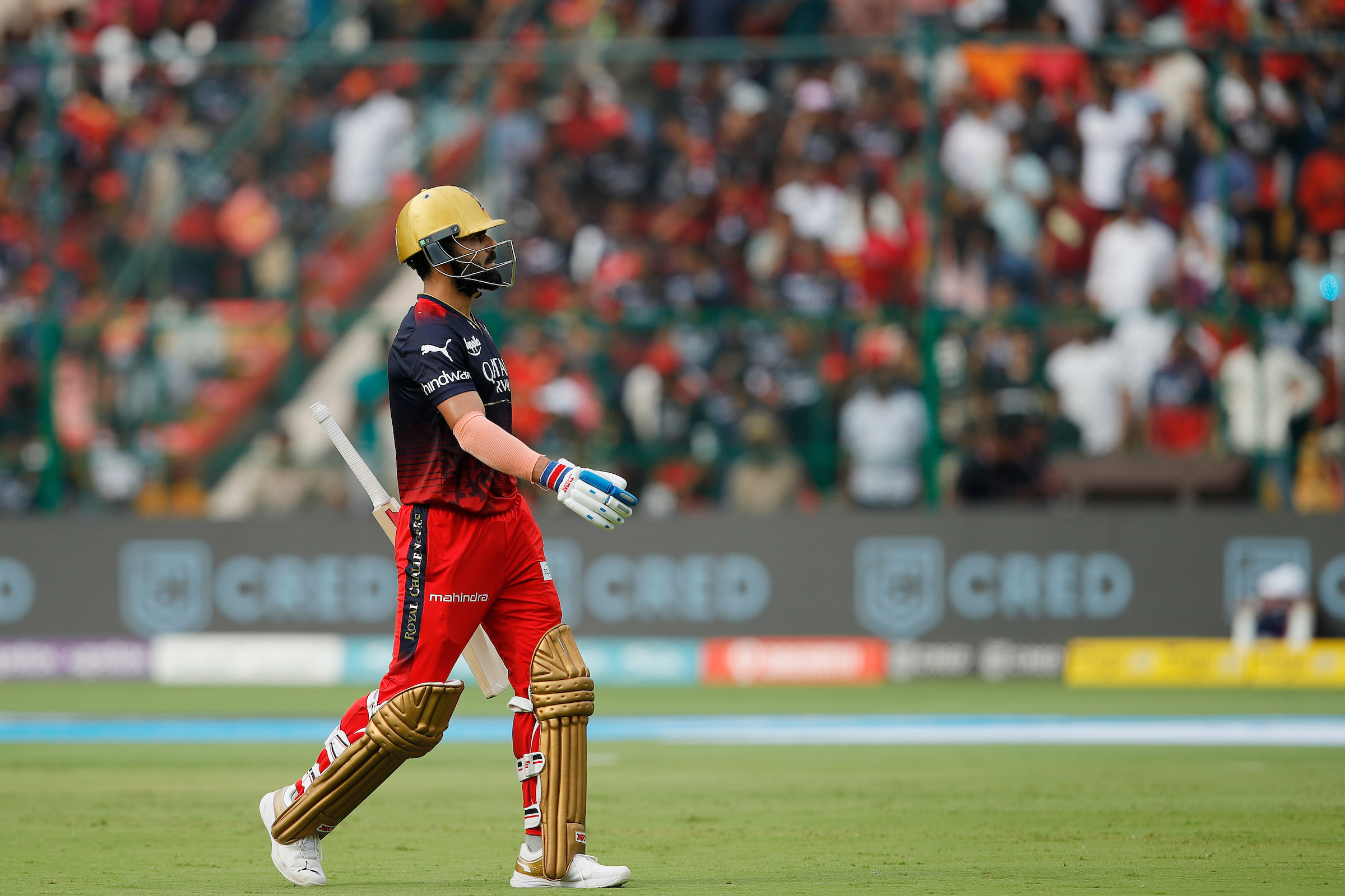 உண்மையாவே ஆர்சிபி பவுலர்களா இது..?? டெல்லியை பொட்டலம்கட்டிய ஆர்சிபி அபார வெற்றி... டெல்லி அணி தொடர்ந்து 5ஆவது தோல்வி...! 2 உண்மையாவே ஆர்சிபி பவுலர்களா இது..?? டெல்லியை பொட்டலம்கட்டிய ஆர்சிபி அபார வெற்றி... டெல்லி அணி தொடர்ந்து 5ஆவது தோல்வி...! 2